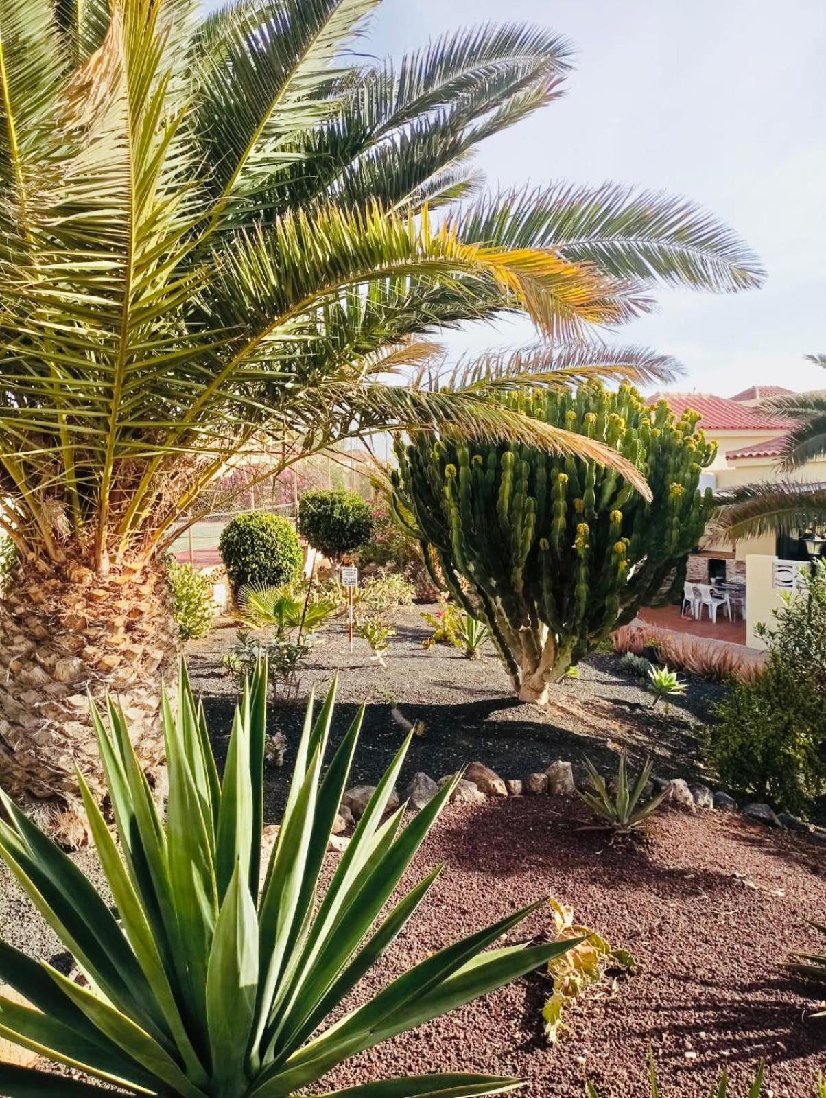 Casa La Pepita Lomas 117 Caleta De Fuste